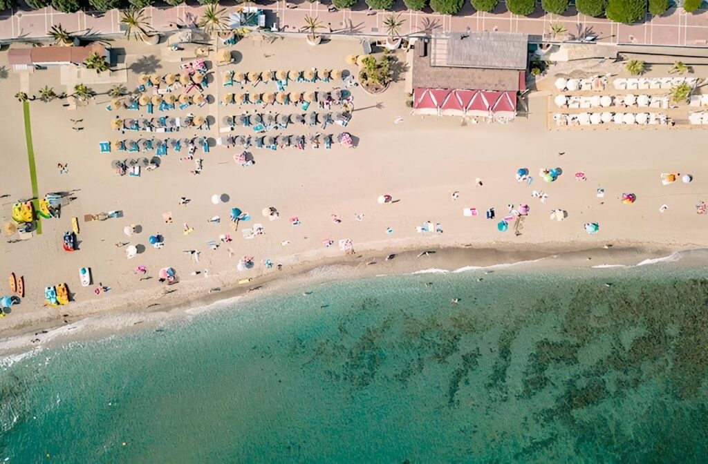 dofoto 20260206 0037556996431205bfbd2cf81e6b5e6fb3d0bebd9